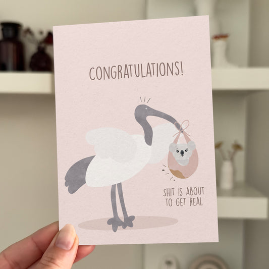Congrats Ibis Pink - Funny Baby Card